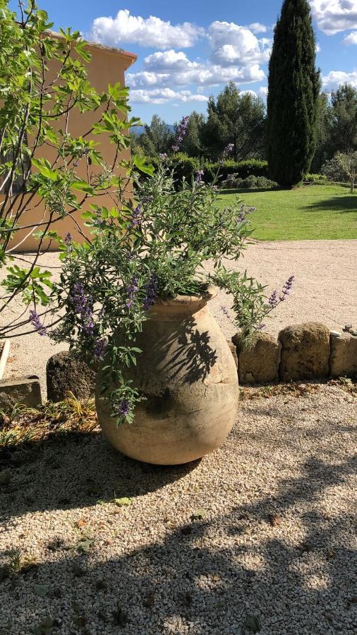 Le Mas Des Pignes -Adults Only Aix-en-Provence Dış mekan fotoğraf